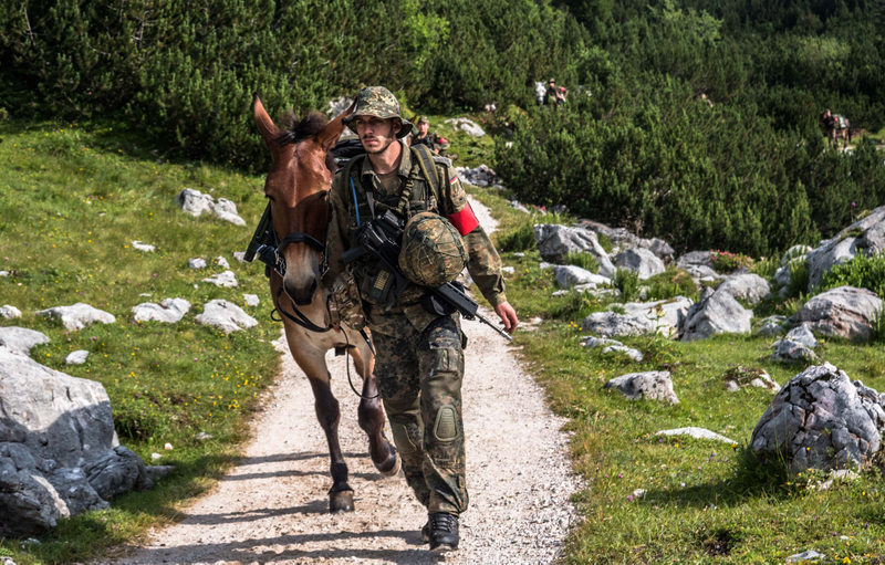 23 Brigade soldier with mule.